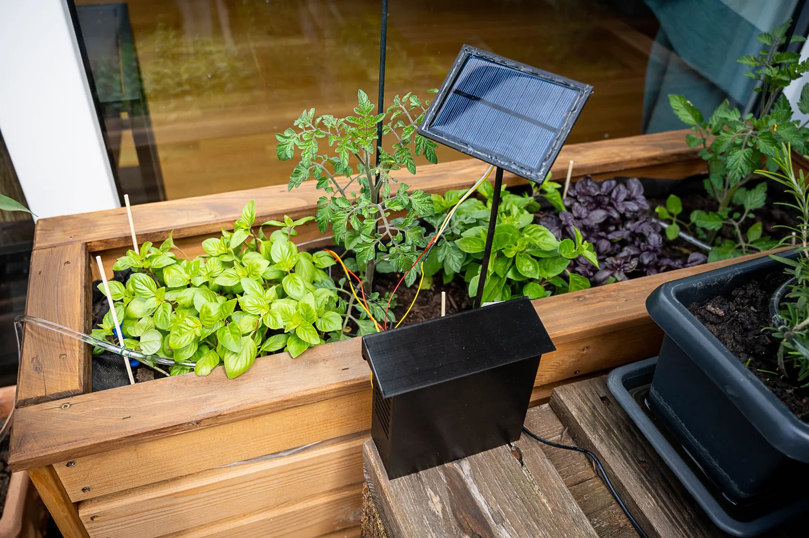 Plantwatery: solar ESP32 automatic plant watering