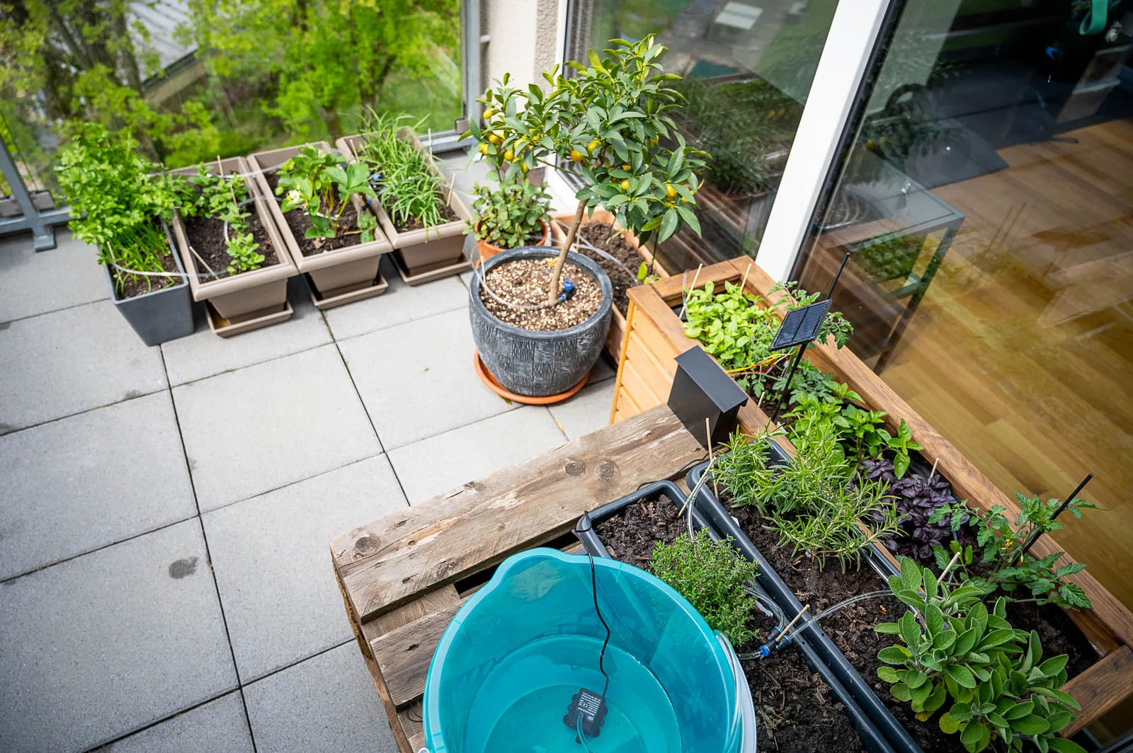 Plantwatery: solar ESP32 automatic plant watering photo 2