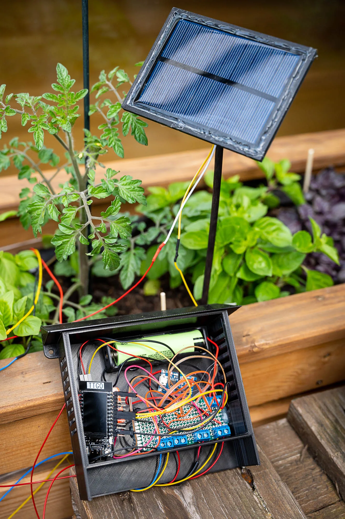 Plantwatery: solar ESP32 automatic plant watering photo 3